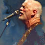 David Gilmour