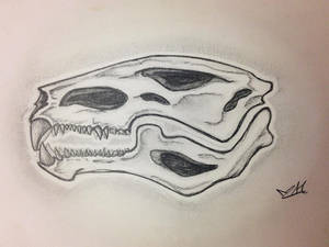 Varti Skull