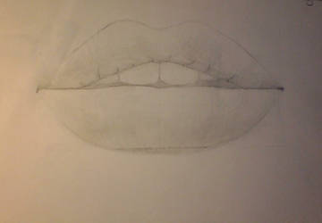 Realistic Lips