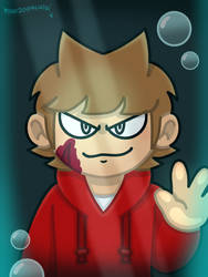 Tord Reveal Redraw