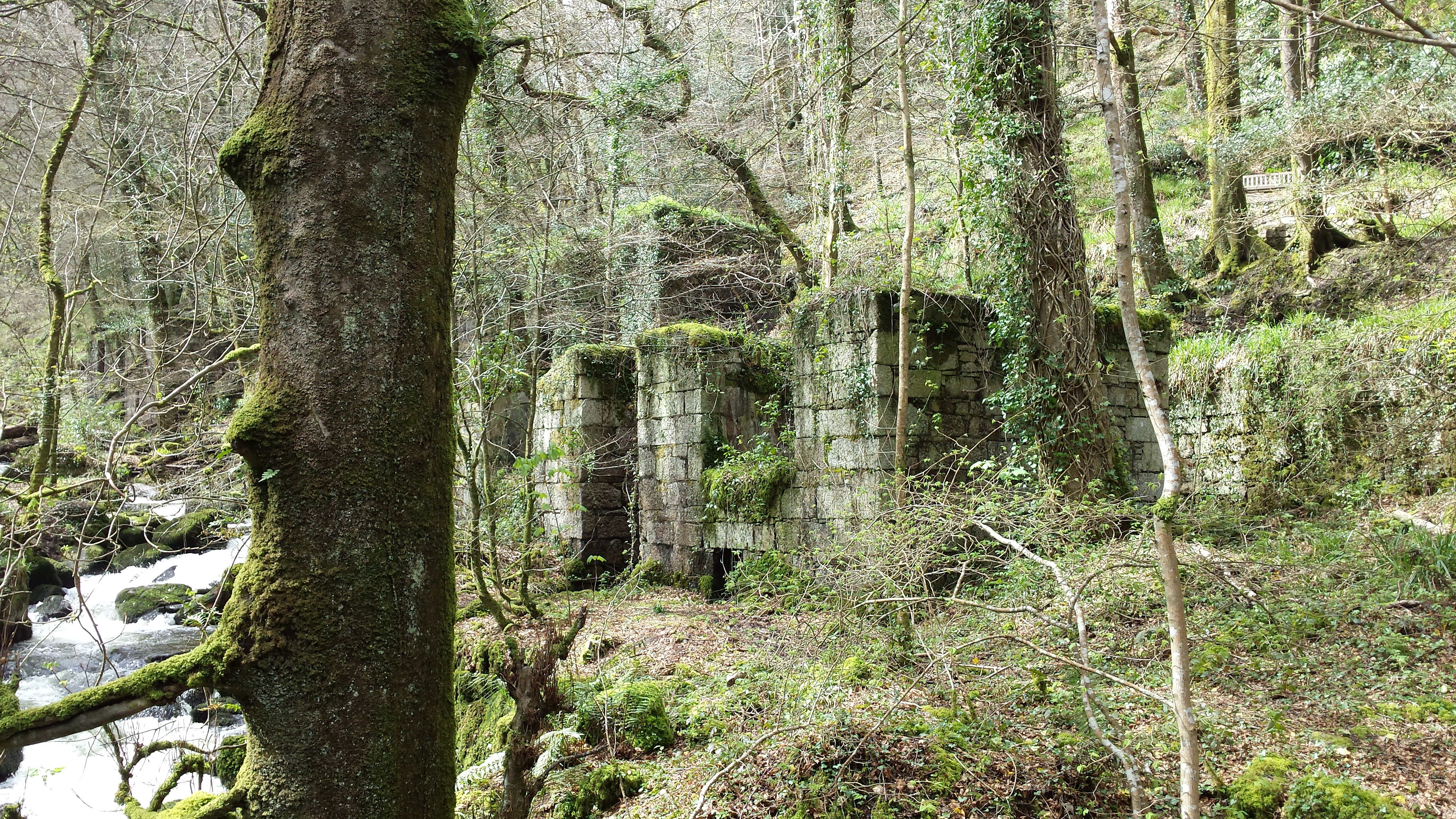 Owned by Nature, Kennal Vale, Ponsanooth, Cornwall