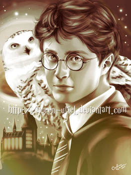 Harry and Hedwig