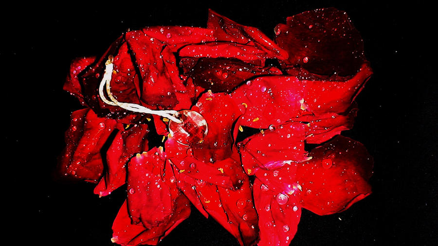 Gemed Roses gem roses by BattlePearl on DeviantArt