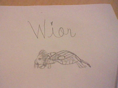 Wion