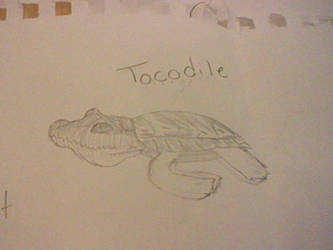 Tocodile