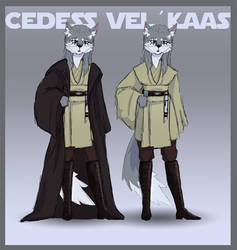 Jedi Master Velkaas(WIP) - STAR WARS