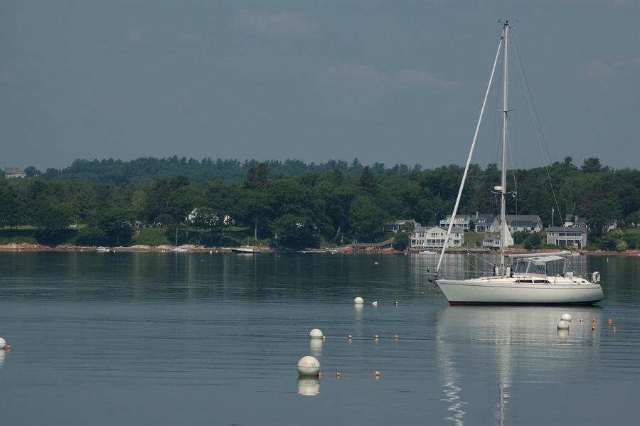 Summer at Cousins Island