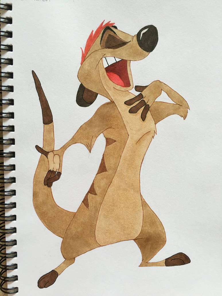 Timon by Ashmer8 on DeviantArt