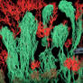 Abyssal Trenches and Sentient Spore-Kelp [02-senti