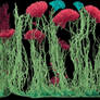 Abyssal Trenches and Sentient Spore-Kelp [02-senti