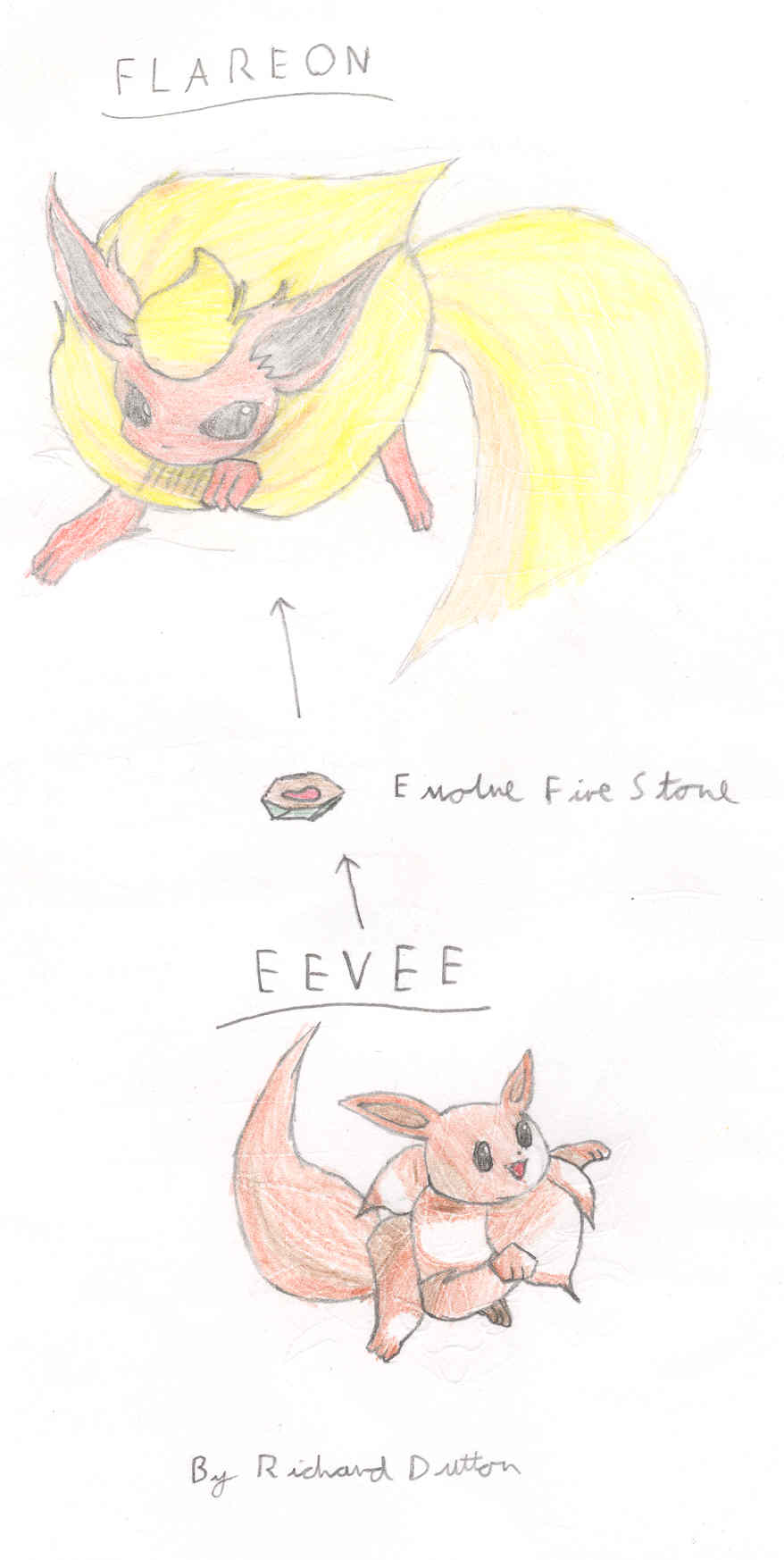 Eevee Evolution