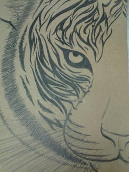 tiger face