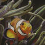 Clownfish and Anemone