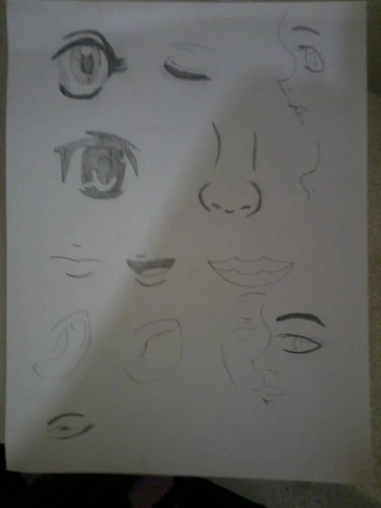 Anime facial features by tiffywiffy12 on DeviantArt