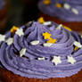 purple cupcake