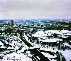 above the roofs of my city