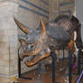 London Triceratops