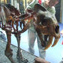 Smilodon Skeleton London