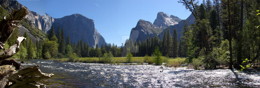 Yosemite Valley floor