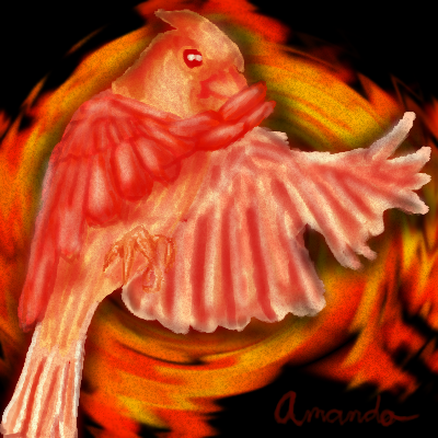 Cardinal Phoenix