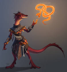 Dragonborn Wildfire Druid