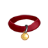 Collar - Red with Gold Tag by Mothkitten