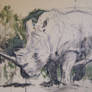 Rhino Woodblock