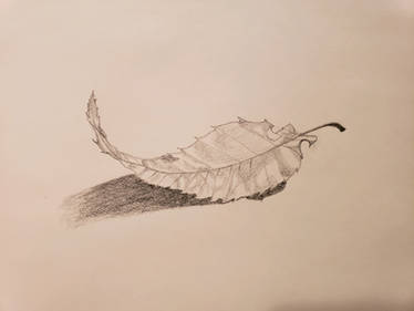 Leaf