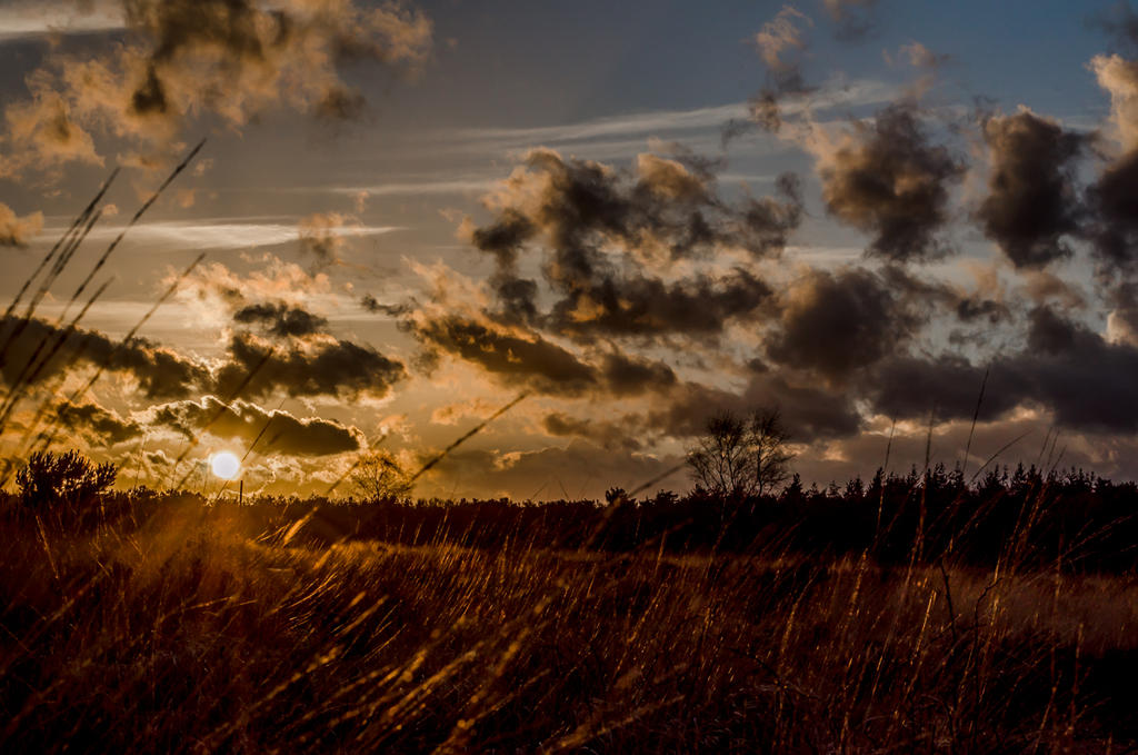 Sunset Rucphense heider