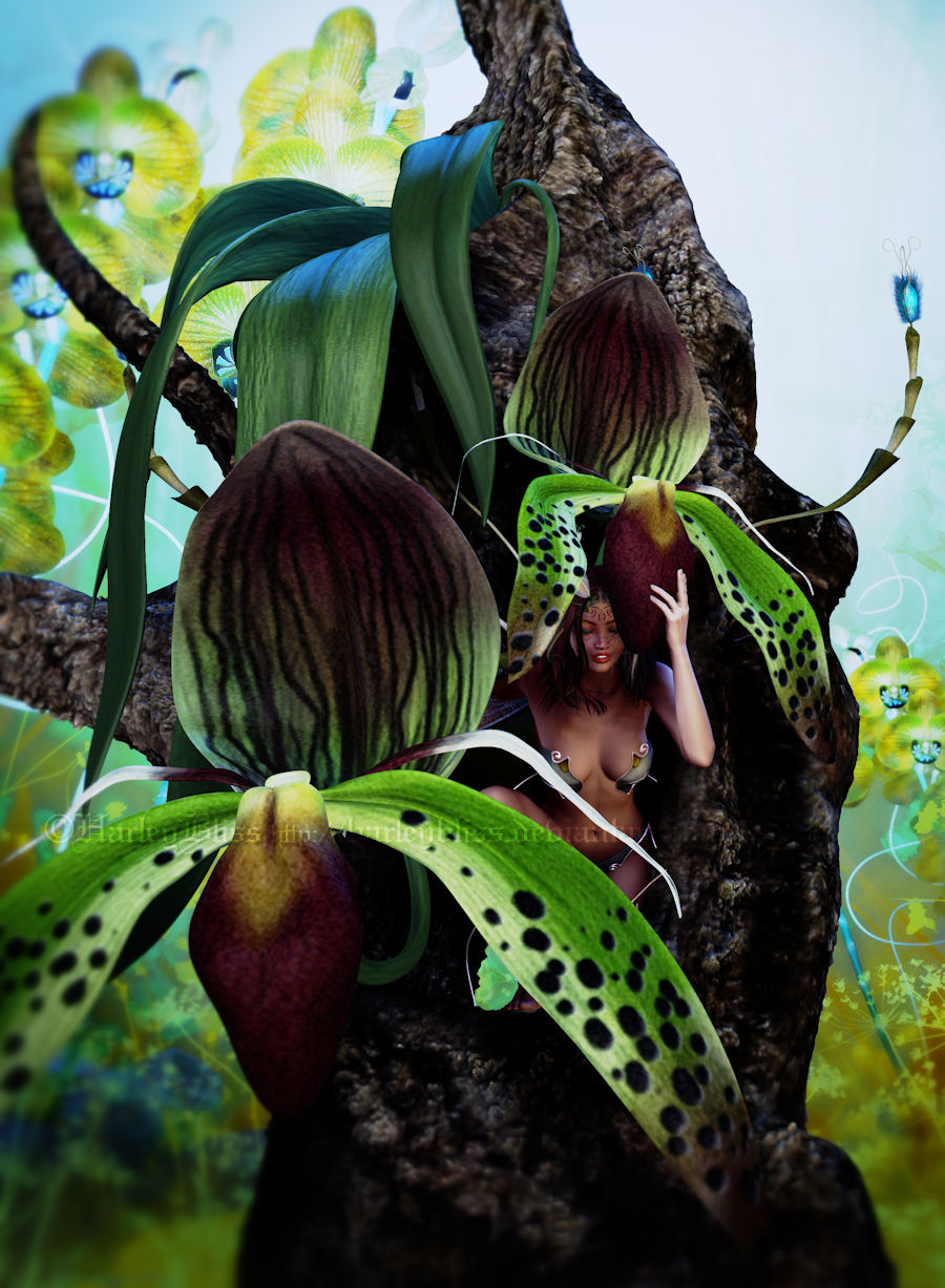 Orchid Fae