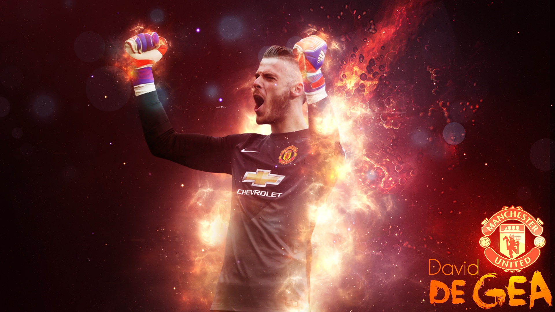 David de Gea 2015  Wallpaper