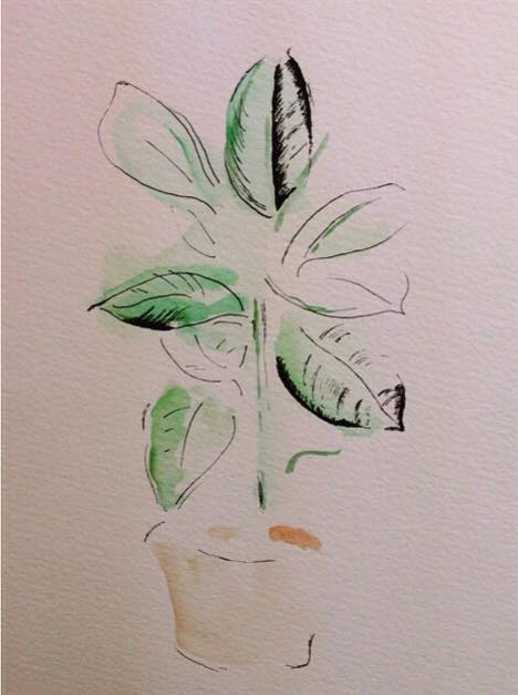 Studio Plant Sketch