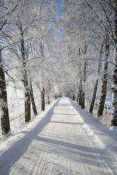 Winter Road 1