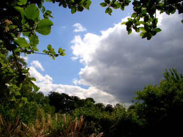 Greenwich Park Storm Approach