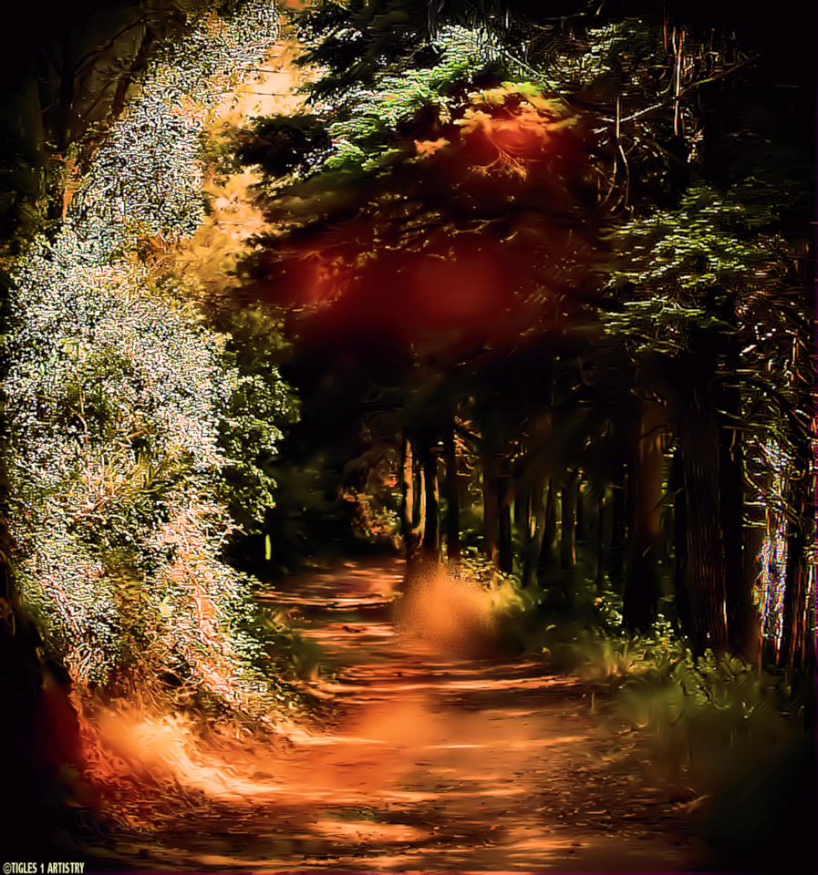 A Magical Road.....