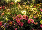 Painting Spring... by Tigles1Artistry