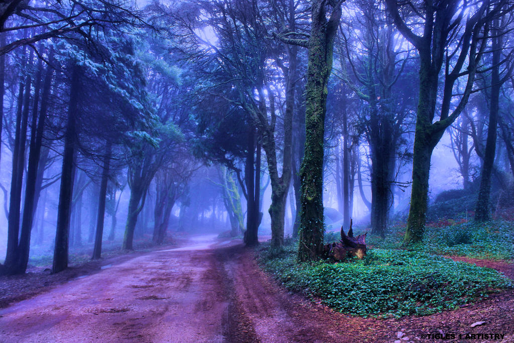 A Path to Eternity for Jocelyne... by Tigles1Artistry A Path to Eternity for Jocelyne... by Tigles1Artistry
