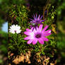 Happy Birthday To All My Friends Born In April....