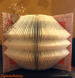 The Art Of Book Folding I...
