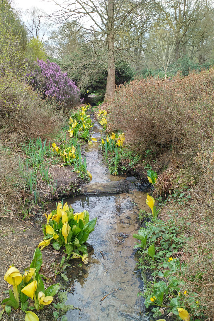 Colourful Riverlet by thelandscapeman on DeviantArt