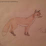 Fox drawing - Take it easy