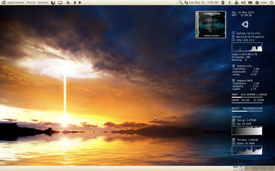 Ubuntu 10.04 Screenshot