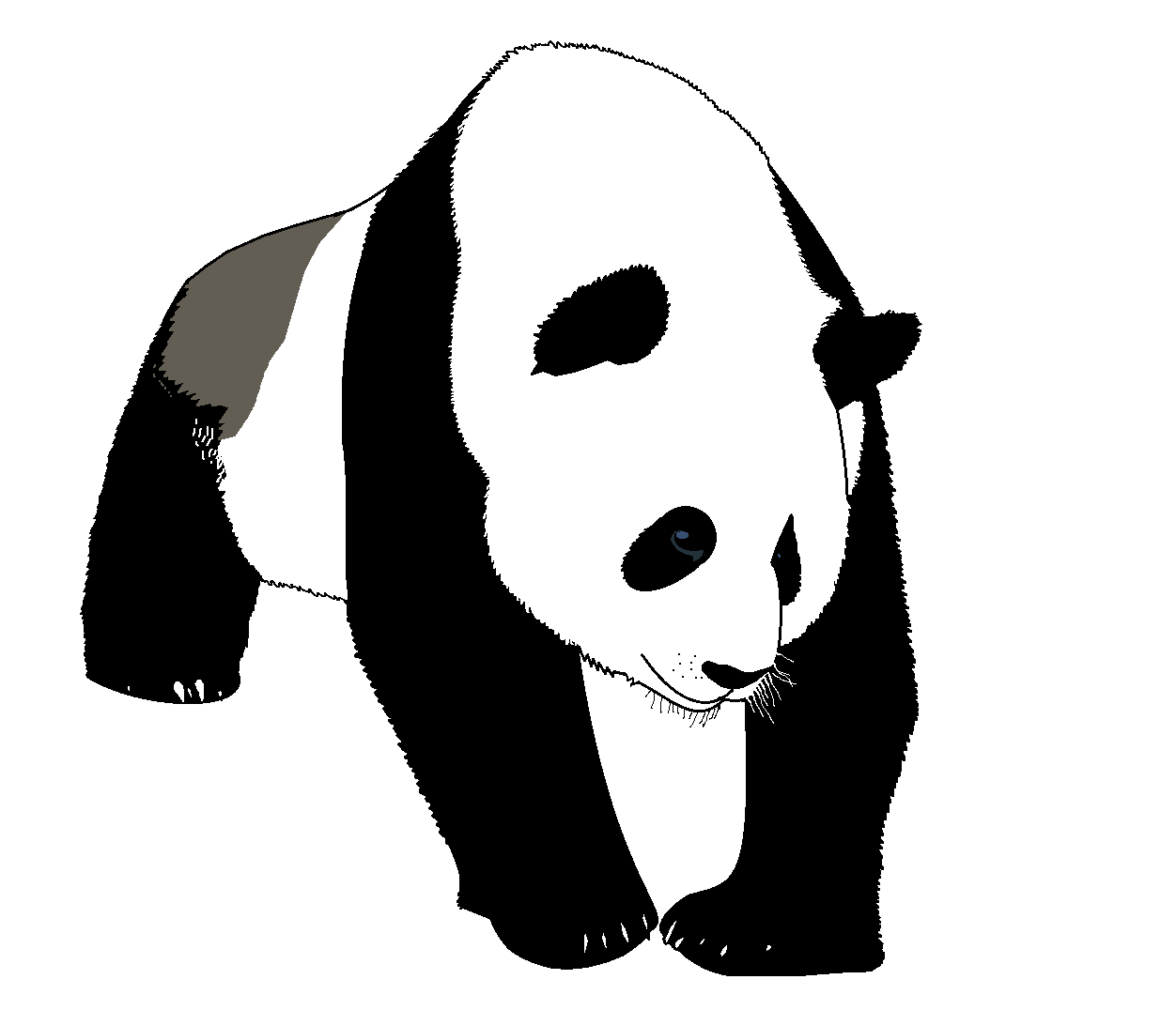 Walking Panda Clipart Transparent PNG Hd, Pandas Walking Forward, Panda  Clipart, Clipart Panda, Realism PNG Image For Free Download