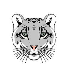 DA tutorial snow leopard