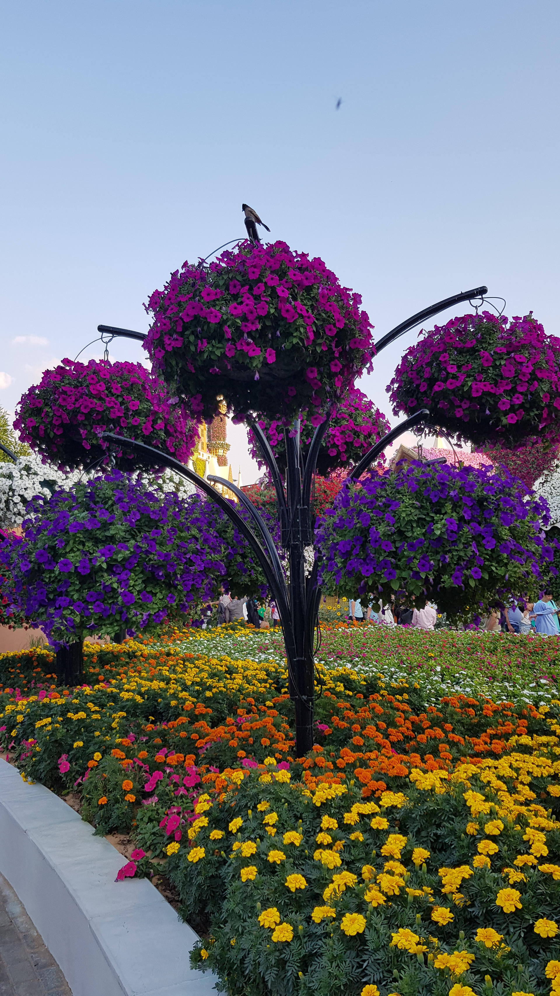 Rainbow Tree by haseeb312 on DeviantArt