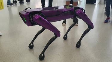 Spot the Robot Dog by Boston Dynamics 