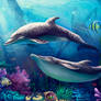 Dolphins