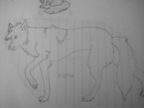 WOLF :D