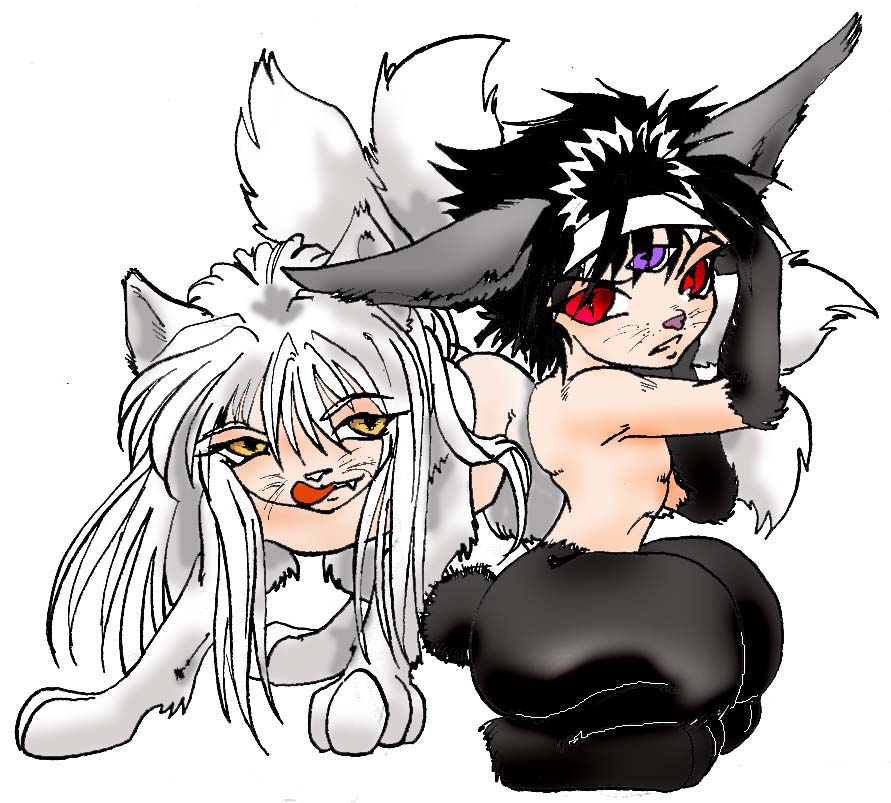 chibi furries hiei and kurama