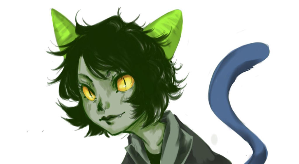 Непета сколько лет 2024. Nepeta lejoin. Непета Хоумстак. Nepeta leijon. Непета Лейон Хоумстак.